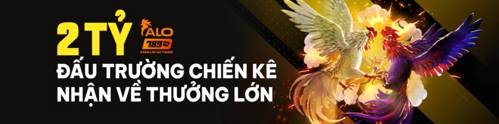 alo789 đấu trường chiến kê